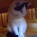 Daisy Barton - Facebook