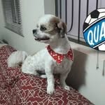 Daisy Batista Godoy - @godoydaisybatista - Instagram