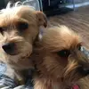 Daisy and Baxter - @daisynbaxter - TikTok