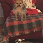 Daisy Baxter - @baxter.daisy - Instagram