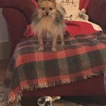 Daisy Baxter - @daisy.baxter.98 - Instagram