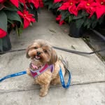 Daisy bay - @daisy_bay_hamptons - Instagram
