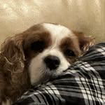 Daisy Bayla - @daisybaylando - Instagram