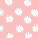 ❂ʈʜɛ ɗɑϊʅʏ☼ɓɛɑʗʜ ʅʜσρ❂ - @daisy_beach_shop - Instagram