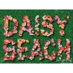 Daisy Beach Clothing - @daisy_beach - Instagram