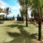 Daisy's Beach - @daisysbeach - Instagram