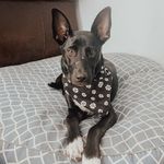 Daisy Bean - @what.daisydoes - Instagram