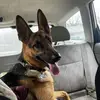 DaisyBean - @daisybean04_10_22 - TikTok