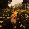 daιѕy вean ™ - @daisy_.bean - TikTok