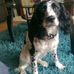 Daisy Beard - Facebook