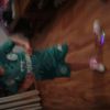 daisy beard - @daisydoo2011 - TikTok