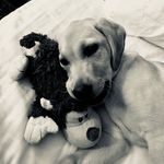 Daisy - @daisybeatty18 - Instagram