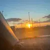 Daisy Beavers - @daisy.beavers - TikTok