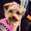 Daisy Lsabel becerra - @dasiy_boo3 - TikTok