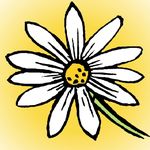 Daisybeck Studios - @daisybeckstudios - Instagram