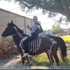 Daisy Becker - @daisybecker4230 - TikTok