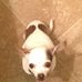 Daisy Beebe - Facebook