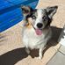 Daisy Beebe - Facebook