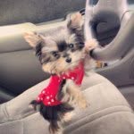 Daisy Behrens - @daisymae1219 - Instagram