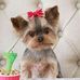 Daisy Behrens - Facebook