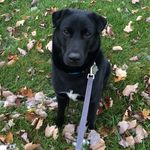 Benjamin & Daisy - @benjamin_daisy_adventures - Instagram
