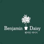 벤자민데이지 - @benjamin_daisy - Instagram