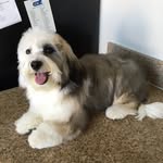 Daisy    Lou   Benson - @daisyloubenson123 - Instagram