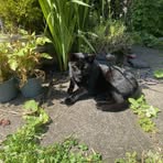 Daisy Benson - Facebook