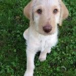 Daisy Benson - @biblioflora - Instagram