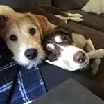 Daisy • Benson - @daisyandbenson - Instagram