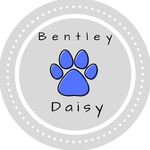 Daisy || Bentley - @daisybabe.bentleyboi - Instagram