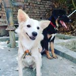 Daisy & Berry - @143daisy2021 - Instagram
