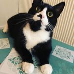 Daisy Berry - @being_crazy_daisy - Instagram