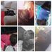 Daisy Bertuol - Facebook