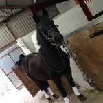 Daisy~Pill - @daisy_bert_duke - Instagram