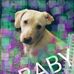 Daisy Berumen - Facebook