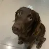 Daisy best💚 - @daisybest72 - TikTok