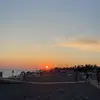 daisy x - @daisy.bestt - TikTok