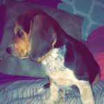 Daisyyy❤️😍‼️ - @daisy_ann_betts - Instagram