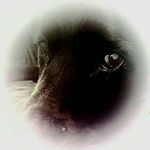 Daisy  Bishop - @daisybishop2006 - Instagram