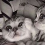 морозилка Маруся. - @daisy._black - Instagram