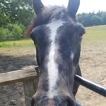 Daisy Blackwell - @juliette_ravenrain - Instagram
