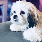 Daisy Blanco - @lil_daisy_blanco - Instagram