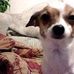 Daisy Bland - Facebook