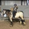 daisybland - @banjo377 - TikTok