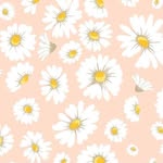 @daisy_blanket - Instagram