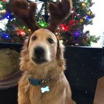 Daisy_bliss - @_daisy_bliss_ - Instagram