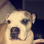 Daisy Bliss - @crazyy_daisyymae - Instagram