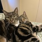 Daisy & Bobbie - @daisyandbobbie - Instagram