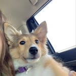 Daisy Bob - @daisylong.__ - Instagram